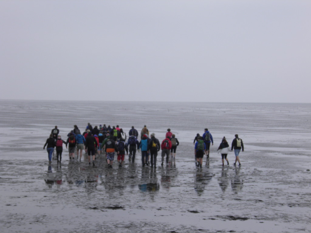 wadlopen
