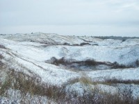 Winters Texel