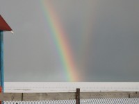 Winters Texel