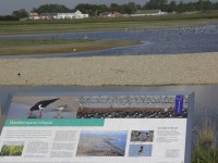 Natuur voor de deur
