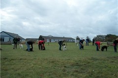 Honden
