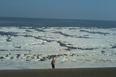 IJs in de Waddenzee